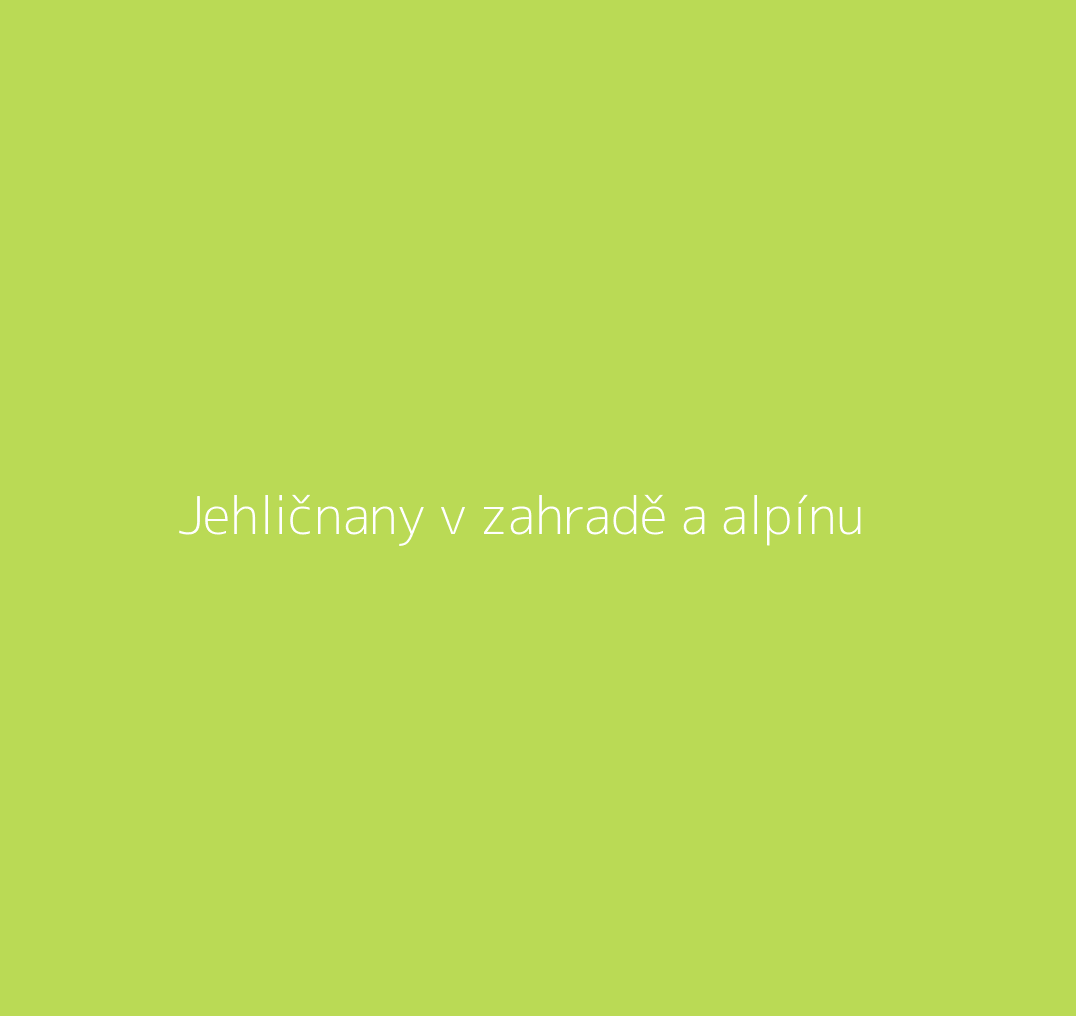 Title.ATT Jehličnany v zahradě a alpínu